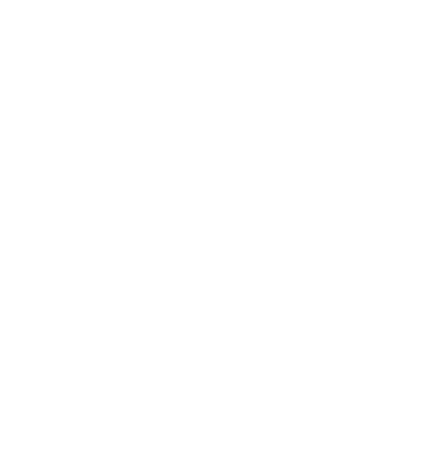 NEUROCOACHING